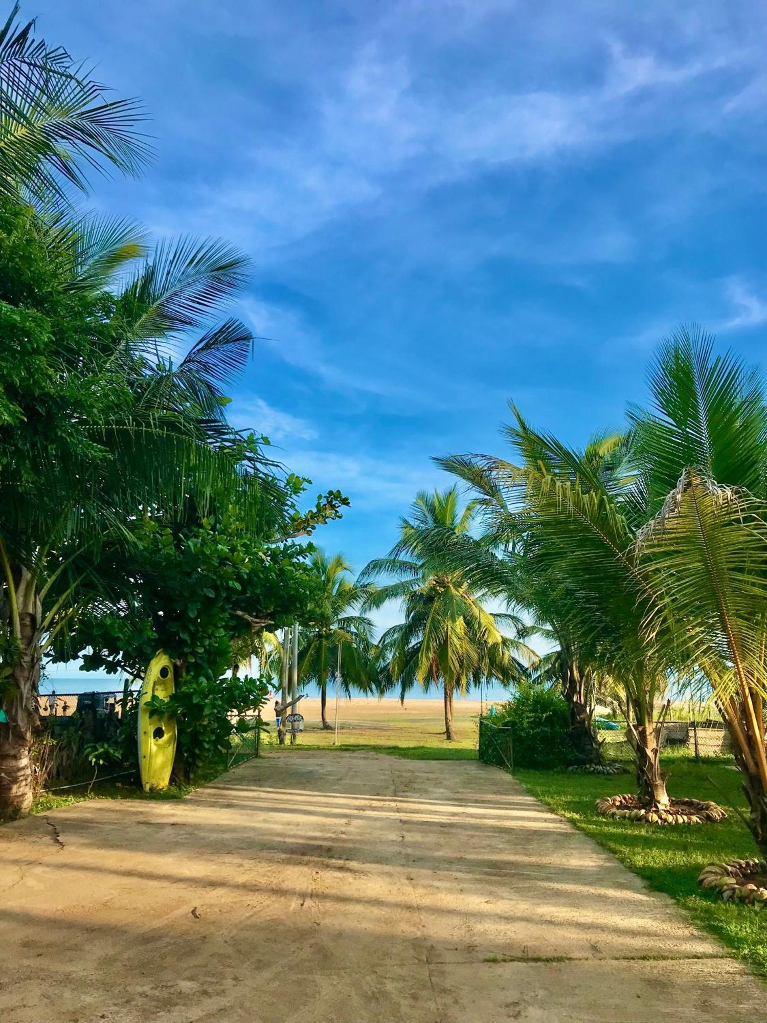 Aqua Marine Beach Hotel 卡尔库达 外观 照片